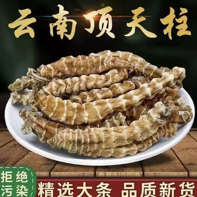 野外生顶天柱不老草阳劲鞭中药材回春草不老草花果男士泡酒泡茶