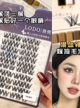 分段LODO洛兜D浓密自然仿真假睫毛翘毛流感轻翘度型卷眼睫毛W欧美