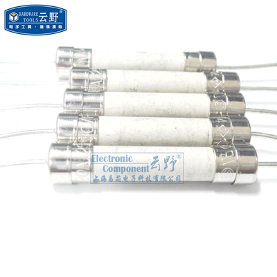 【高科美芯】 快熔F陶瓷保险丝6*32 保险管 圆柱型带脚6X32mm 20A