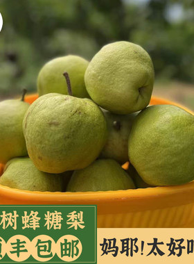 [小二推荐]回购率第一名