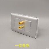 银灰色118型一位音响面板双头2孔音箱银色5.1环绕音频插座音频