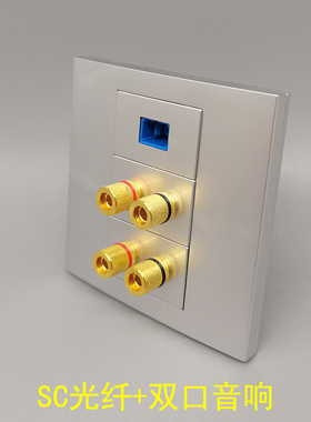 银灰色86型二位凸头音响SC光纤六头4孔音箱线音频香蕉头宽带光钎