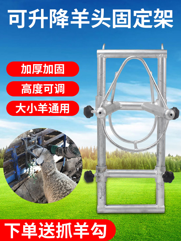 羊头固定架送绳子新款升降多功能可调节绑羊打针输液挤奶推羊毛