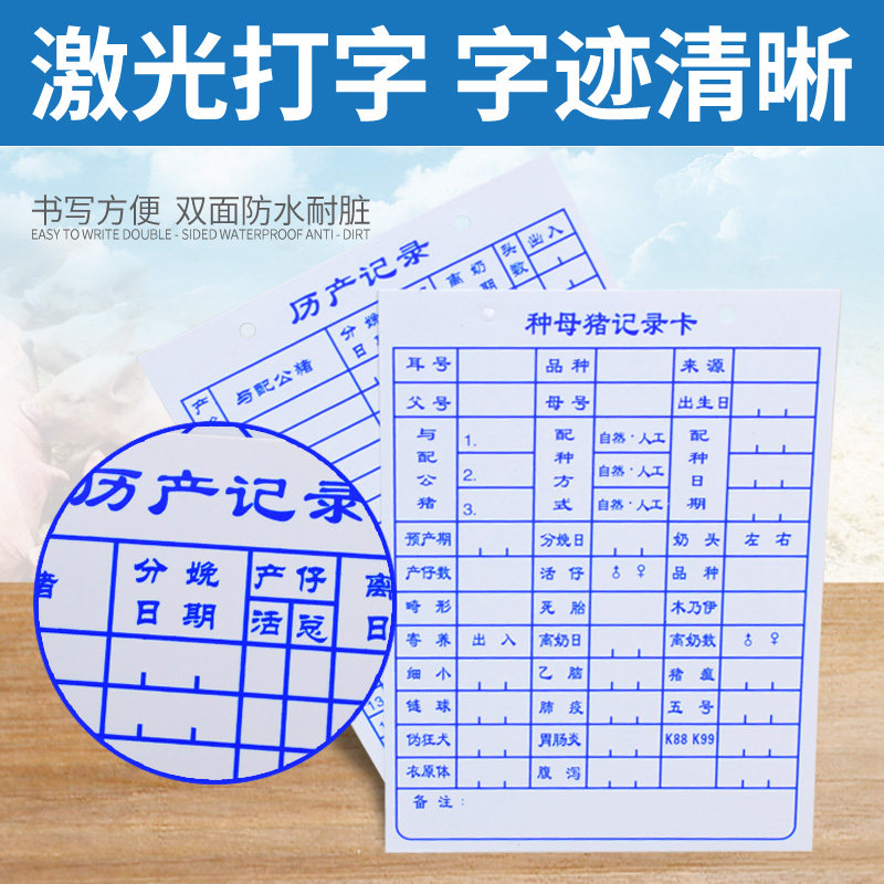 种母猪记录卡 双面加厚母猪妊娠病例卡种猪分娩档案卡 养猪场用品