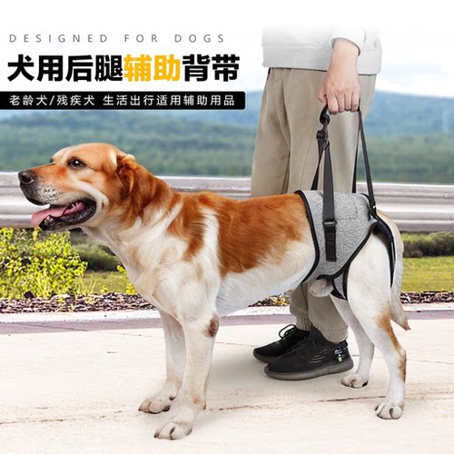 大型犬老年犬辅助带辅助上楼出行