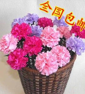 30朵纸藤花康乃馨套装/母亲节/教师节礼物/视频教程/纸花材料包
