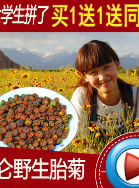 野生买一送一新疆和田昆仑雪菊