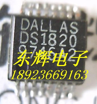 贴片IC DS1820 SSOP-16脚 现货正品【可直拍】