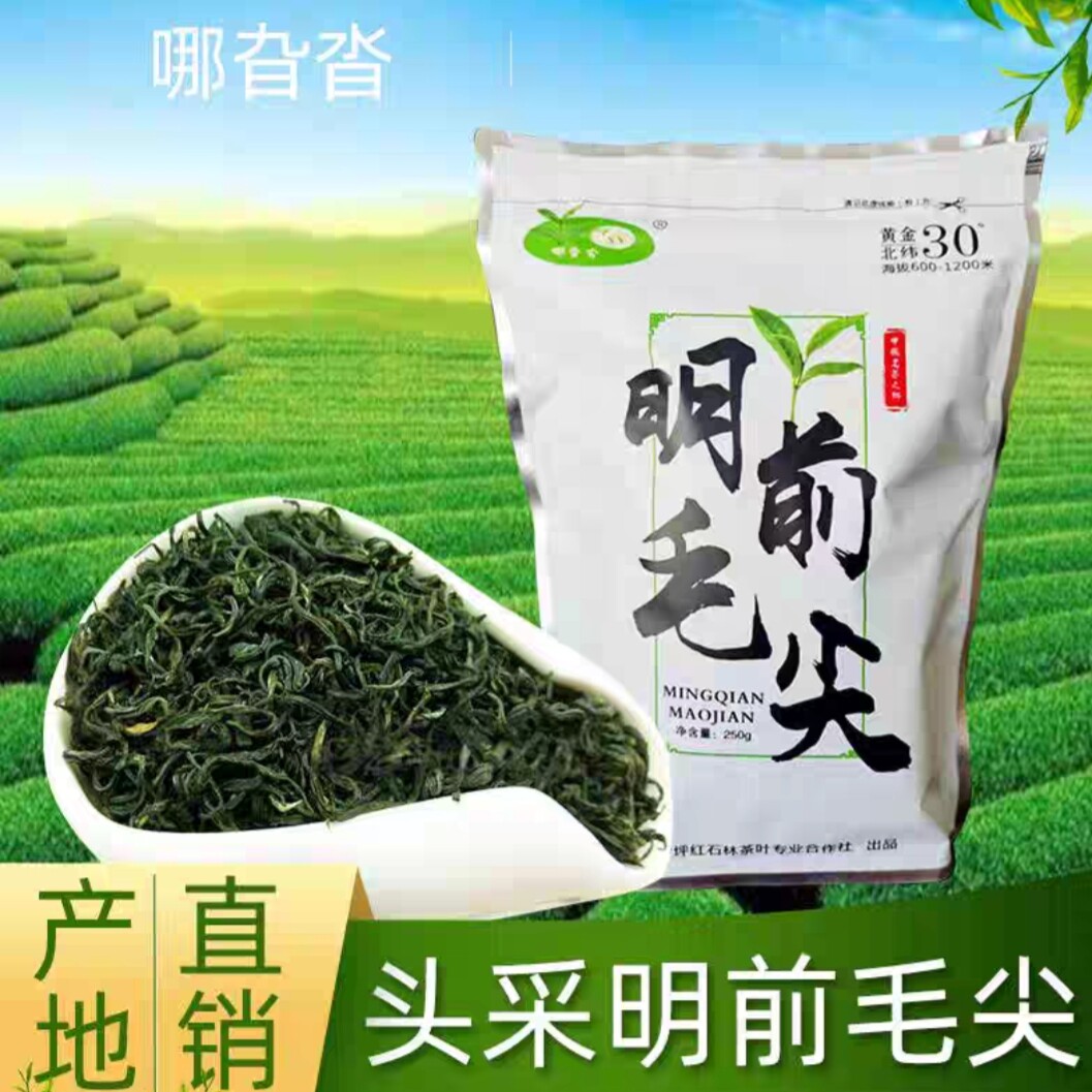 湖南常德2025年新茶春茶石门毛尖明前炒青绿茶