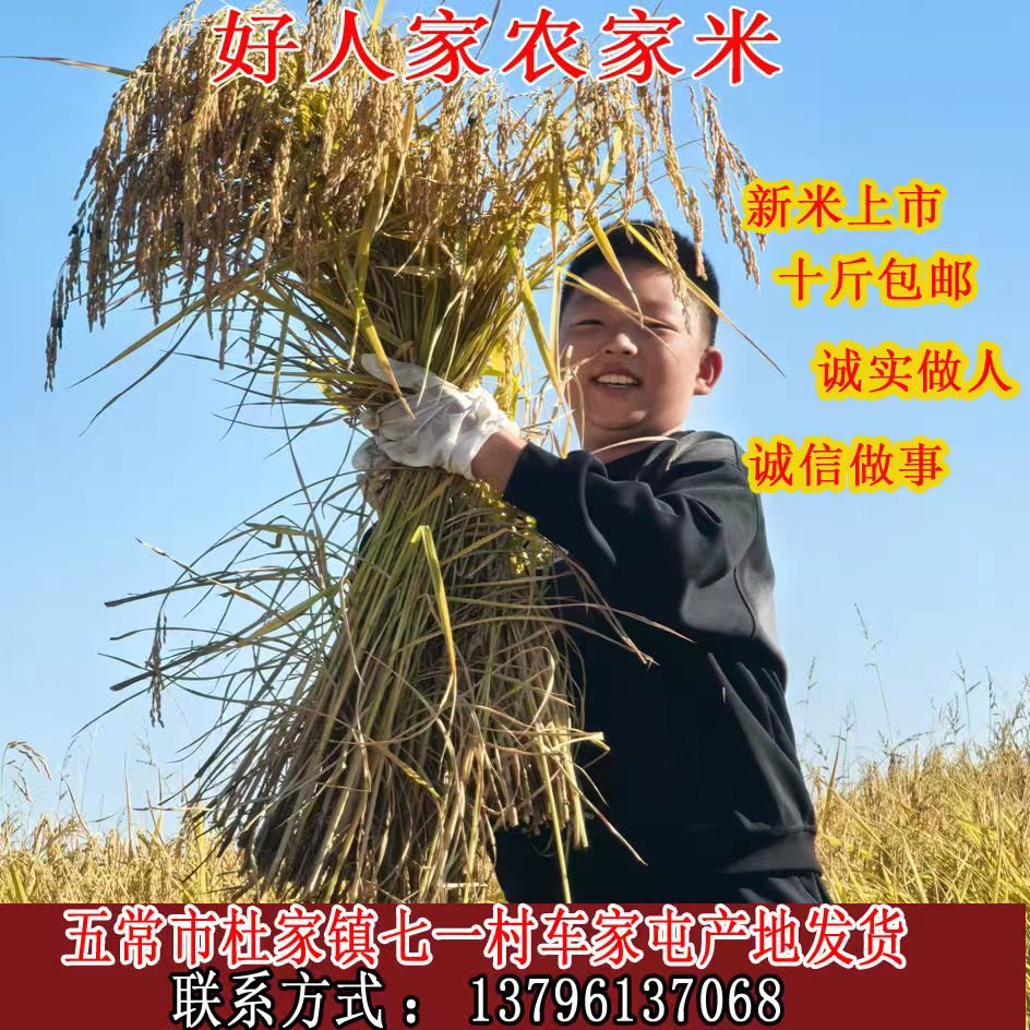 黑龙江省大米杜家农家自产自销
