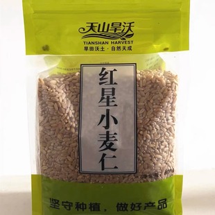 天山旱沃红星小麦仁新疆小麦农家种子麦粒发芽生麦苗榨汁煮粥袋装