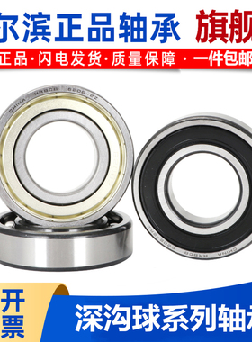 哈尔滨高速轴承 6007 6008 6009 6010 6011 6012 6013 6918 2Z/RZ