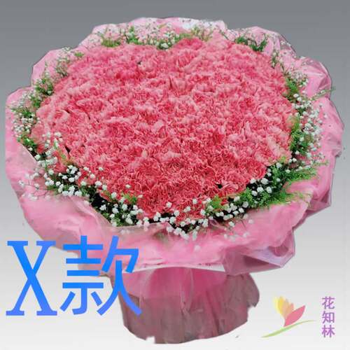 生日康乃馨内蒙古包头订花店送花东河区昆都伦青山东河区鲜花速递