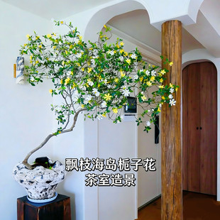 高货海岛栀子花海岛春花老桩办公室客厅茶室茶桌阳台专业艺术造景