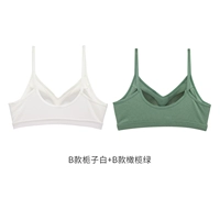B -тип Gardenia White+B Olive Green