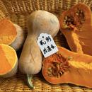 蜂蜜南瓜种子超甜可留种蒸煮炒烤做宝宝辅食 蜂蜜坚果X蜂蜜船