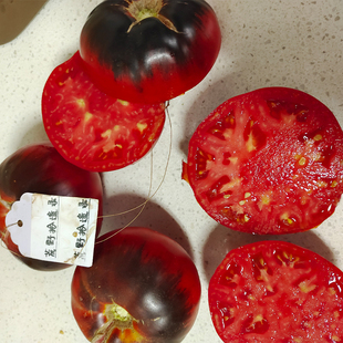 绯红女巫5粒(荒野拾遗录)满29包邮