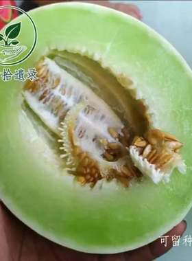 老品种白兰瓜10粒种子 园艺种植 家庭种植适合个人庭院种植