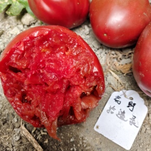 暗黑牛心3粒 包邮 荒野拾遗录