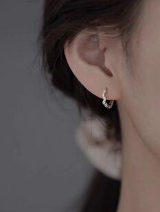 925银叶子耳环2023新款爆款轻奢耳钉小众女高级感耳饰