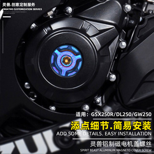 适用铃木GSX250R摩托车改装 件DL250发动机螺丝左边磁电机边盖子GW