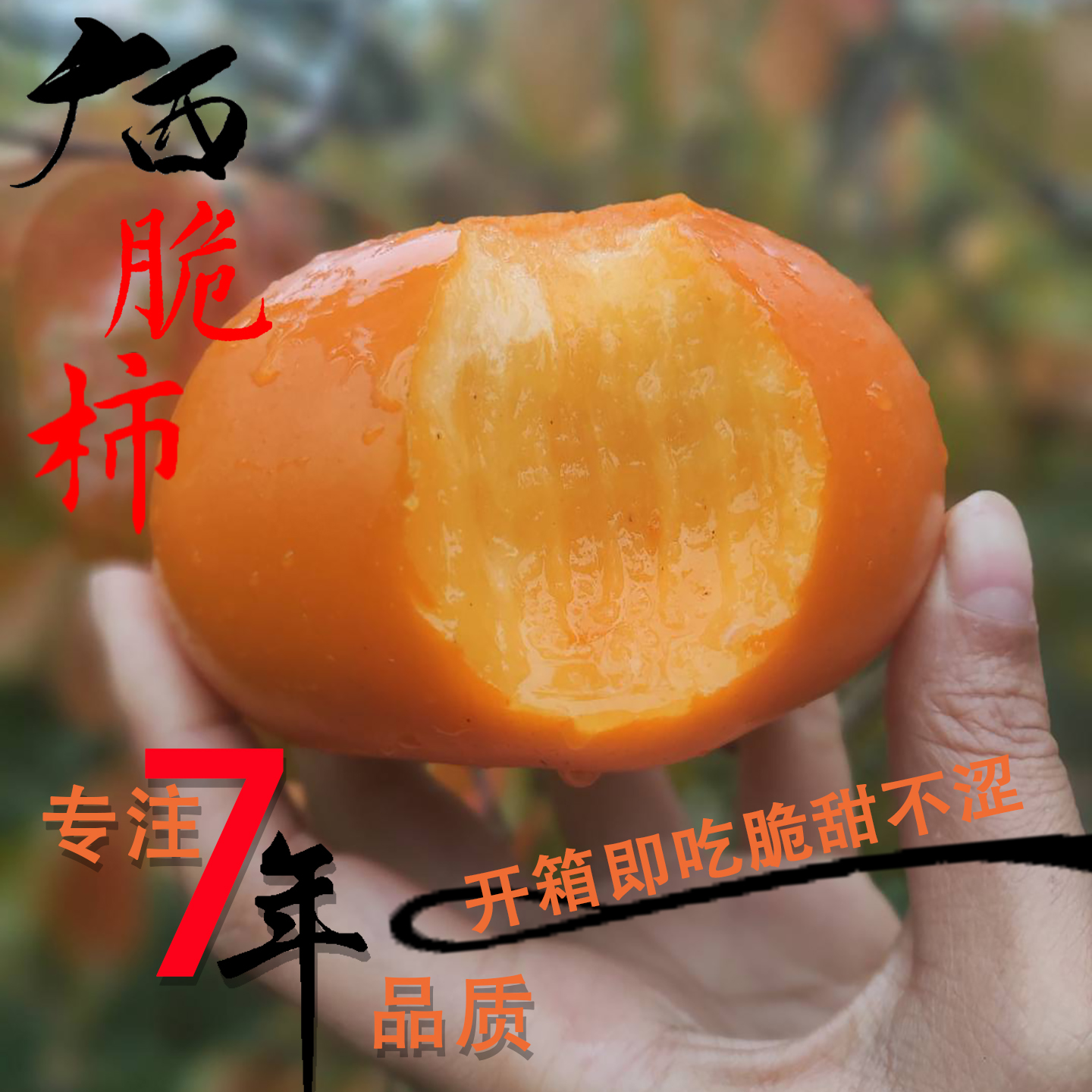 广西恭城脆柿巧克力柿子