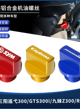 适用三阳巡弋300GTS300i九妹Z300 RV250 MAXSYMTL500/508机油螺丝