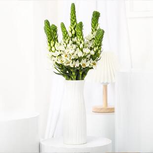 圣心百合 大白雀梅   晚香玉鲜切花 云南基地直发 家庭插花 速递