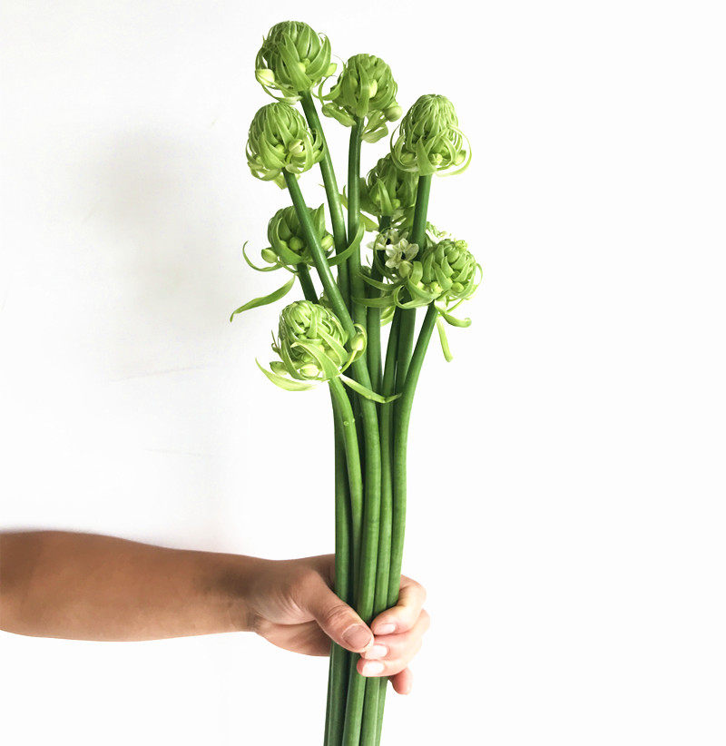 天鹅绒用心flower精选鲜花 松虫草插花 水养火炬花 翠菊 花艺顺丰