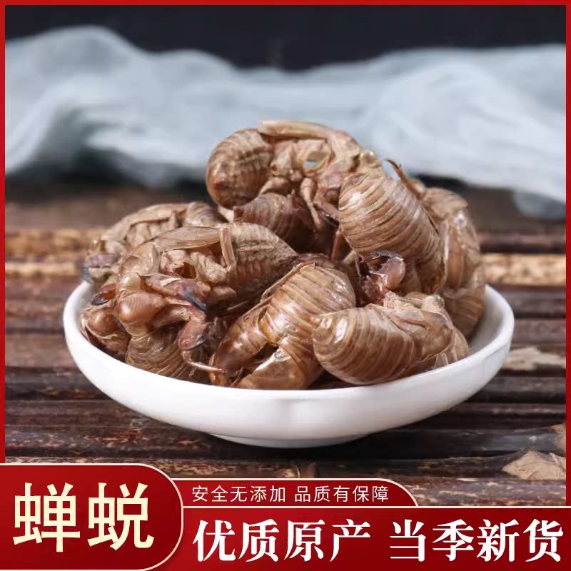 蝉蜕知了皮蝉衣蝉壳虫包邮蜕虫退爬了猴壳金蝉衣