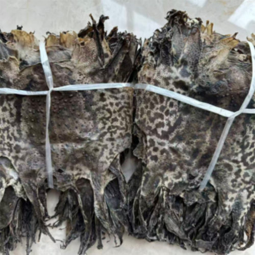 农村常见海蟾蜍蛤蟆皮干蟾衣可定制选择养殖发货处理特价中包邮