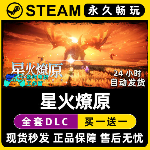 星火燎原（ SPARK IGNITES） Steam单机游戏CDKey全DLC序列号密钥
