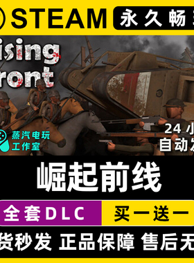 崛起前线Rising Front Steam电脑联机单机游戏CDK全DLC序列号密钥