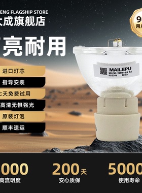 集大成适用于全新NEC投影机灯泡 NP216 NP110+ NP115+ NP215+ NP210+ V302XC 投影仪灯泡