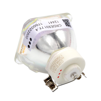 集大成适用投影机灯泡全新