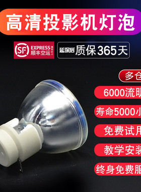丽讯投影仪灯泡Vivitek  RW46513  MX2925I  D8900  D756USTi  DX3351投影机灯泡