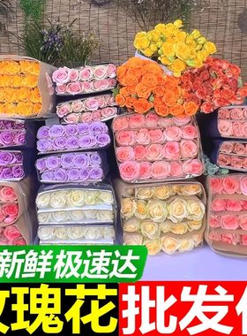 超多颜色可选新鲜玫瑰直发到家