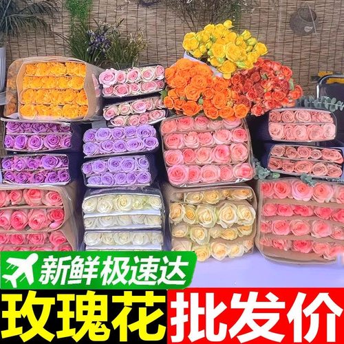超多颜色可选新鲜玫瑰直发到家