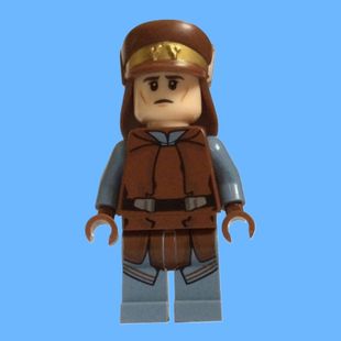 正品乐购 SW638 人仔 星球大战 Naboo Security Officer 75091