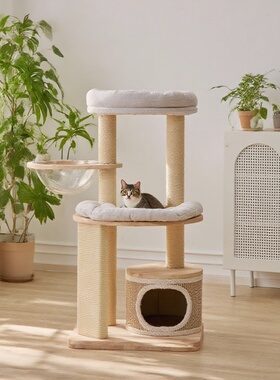 实木猫爬架猫窝猫树一体大猫专用不占地布偶缅因太空舱窝垫可拆洗