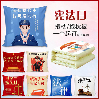 全国法制宣传日国家宪法日民法典普法宣传小礼品抱枕靠垫午休被子