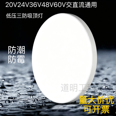 低压LED三防吸顶灯20-60V