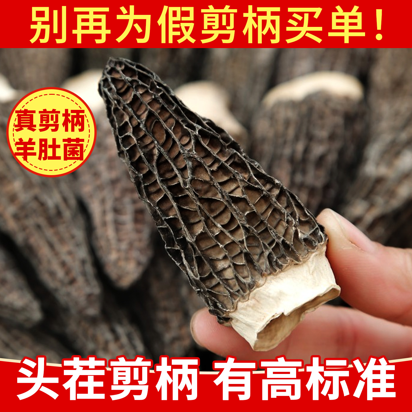 【热销】全剪柄羊肚菌干货