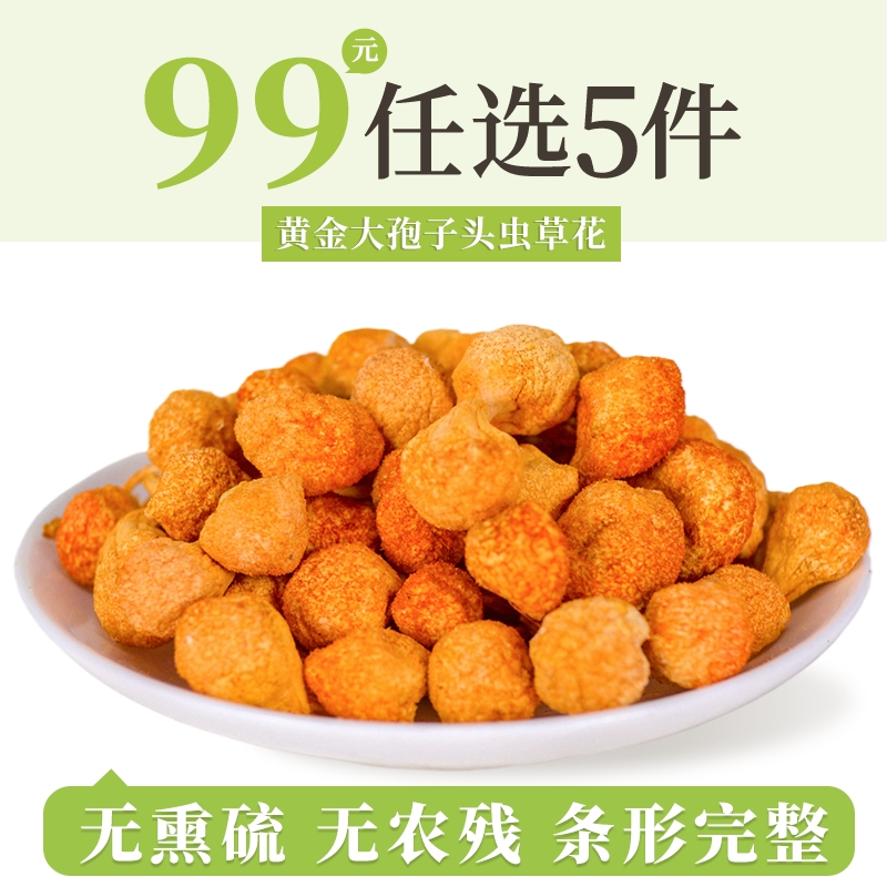 大孢子头虫草花冬虫草蛹虫草正品煲汤材料新鲜干货无硫金虫草