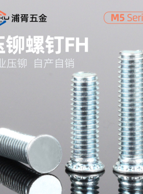 压铆螺钉压板铆螺丝 FH-M5*6-8-9-10-12-14-15-16-18-20-22-25~50