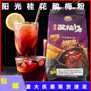 尚品阳光酸梅粉酸梅汤原料乌梅汁果汁粉冲饮饮料粉速溶1千克