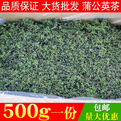 蒲公英新茶炒货婆婆丁500g