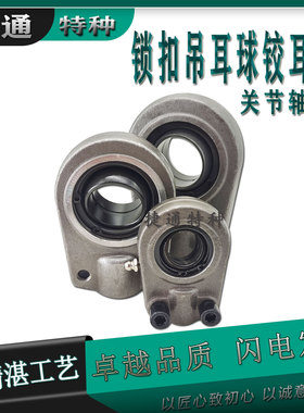 TAPR 496 U TAPR 497 U 球绞耳环吊头 杆端关节轴承 液压油缸非标