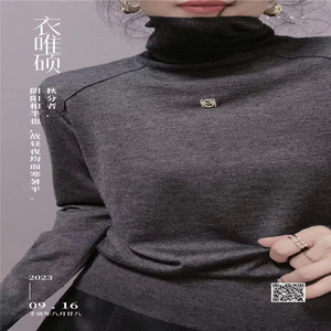 衣唯硕8131正品2024秋冬新高领时尚百搭宽松显瘦针织打底衫女上衣