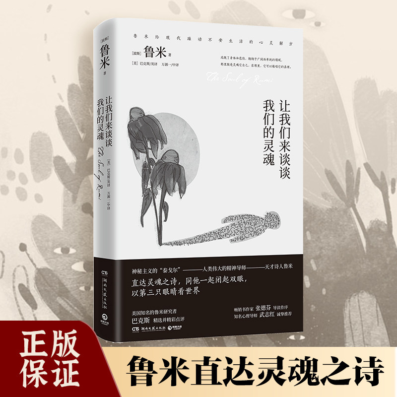 【官方正版】让我们来谈谈我们的灵魂 鲁米的精选诗集  张德芬武志红推荐 外国现当代文学散文诗歌散文诗集 博集天卷